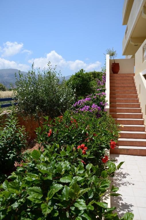 Cretan Family Apartments Malia Exterior foto